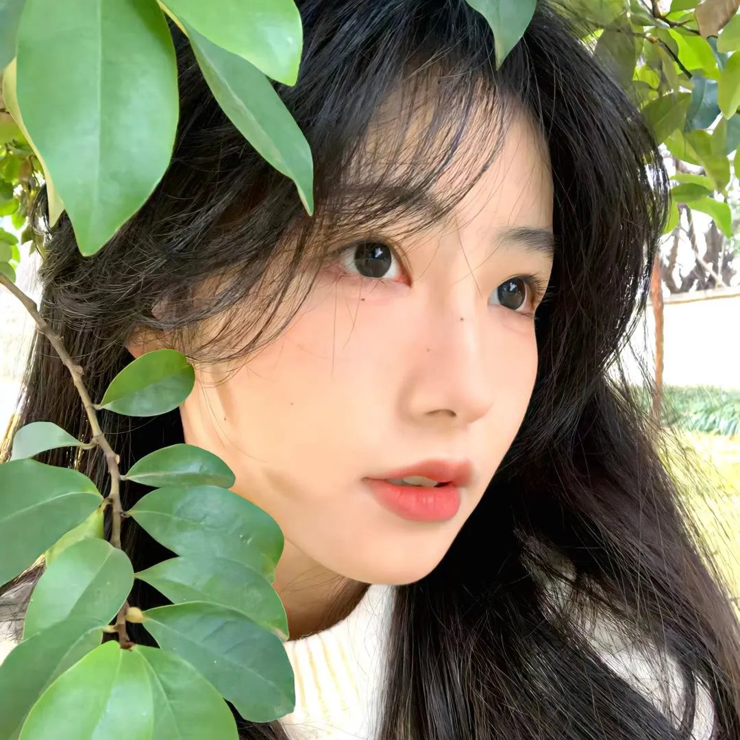 火龙女